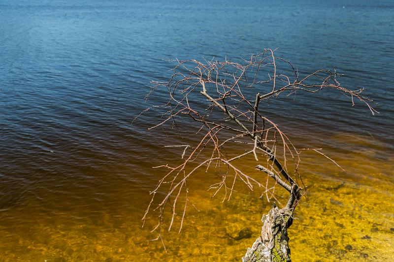 2018_06_23_LAC DE CHAUMECON  (0012).jpg - Au lac de Chaumeçon, Morvan (Juin 2018)